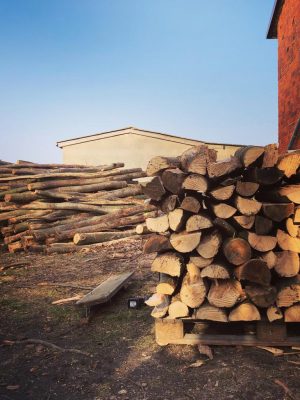 Brennholz Brennholz